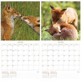 Tallon Square Calendar | Assorted Animals Cute & Fluffy - Choice Stores