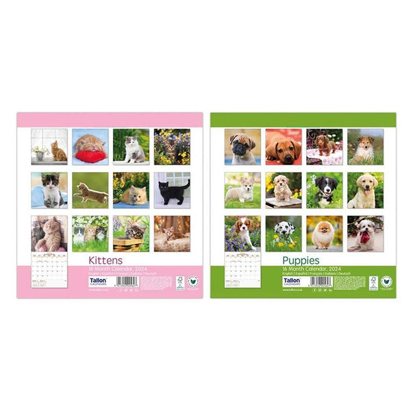 Tallon Square Calendar | Assorted Kittens & Puppies - Choice Stores