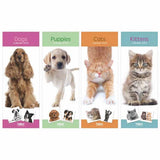 Tallon Super Slim Calendar | Assorted Dogs, Cats, Kittens & Puppies - Choice Stores