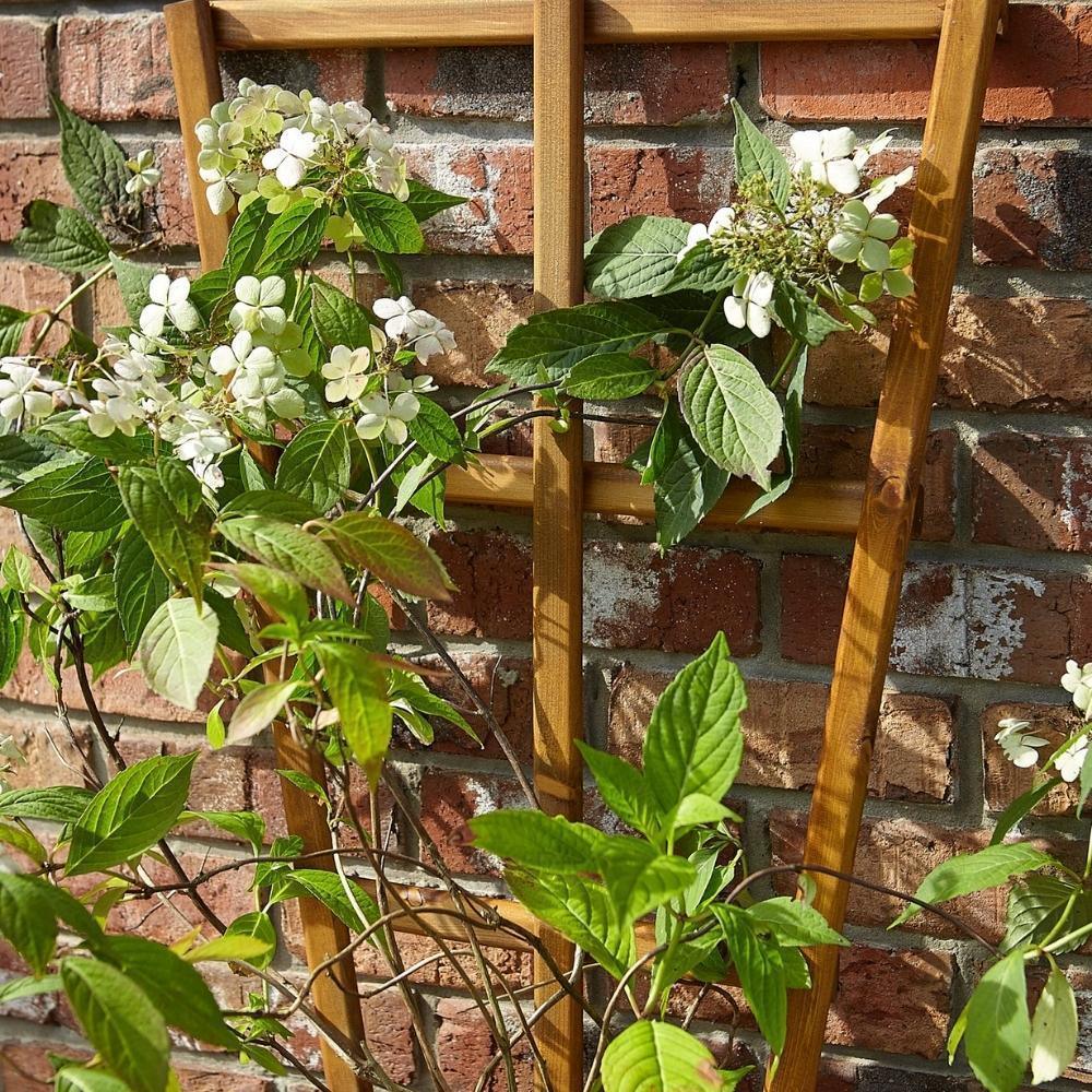 Tom Chambers Prestige Wooden Fan Trellis | 180cm x 60cm - Choice Stores