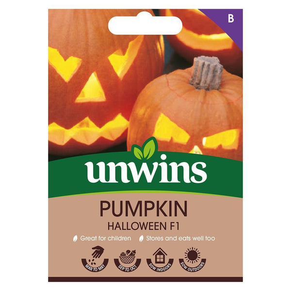 Unwins Pumpkin Halloween F1 Seeds - Choice Stores