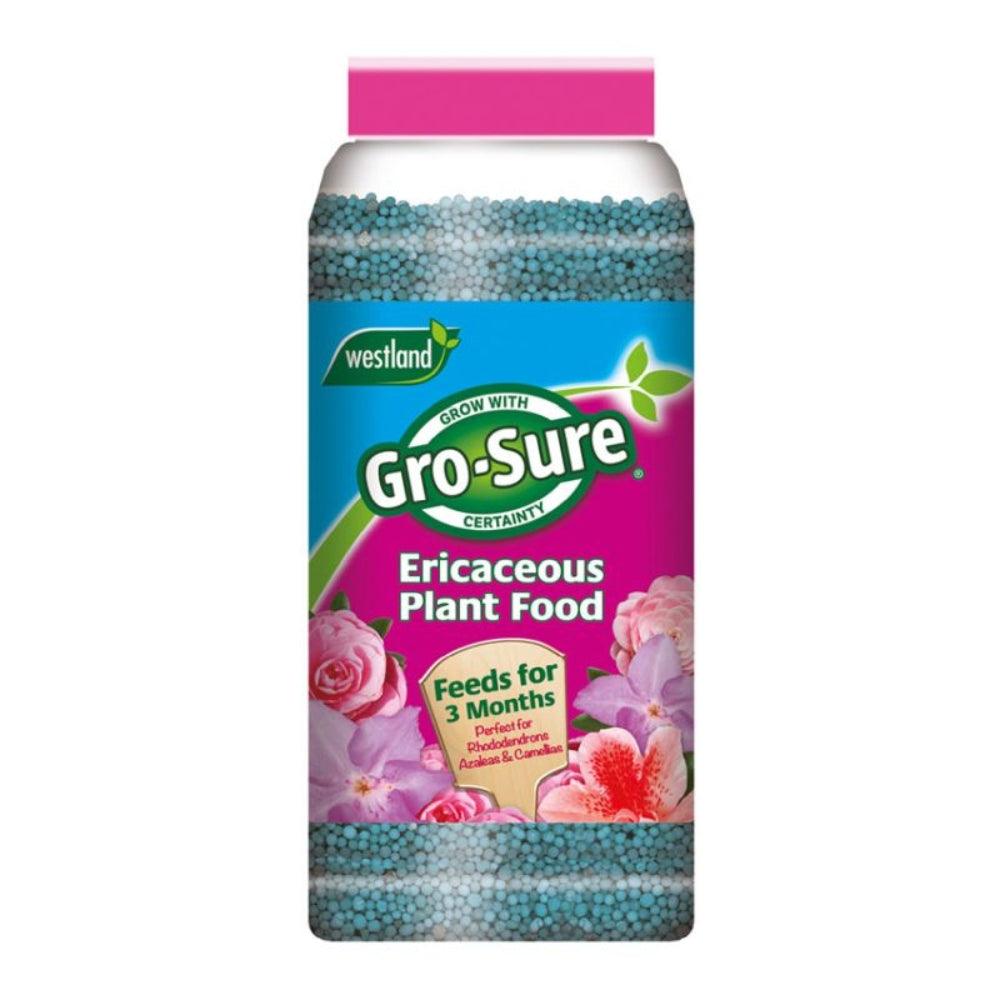 Westland Ericaceous Plant Food Granules | 900g - Choice Stores