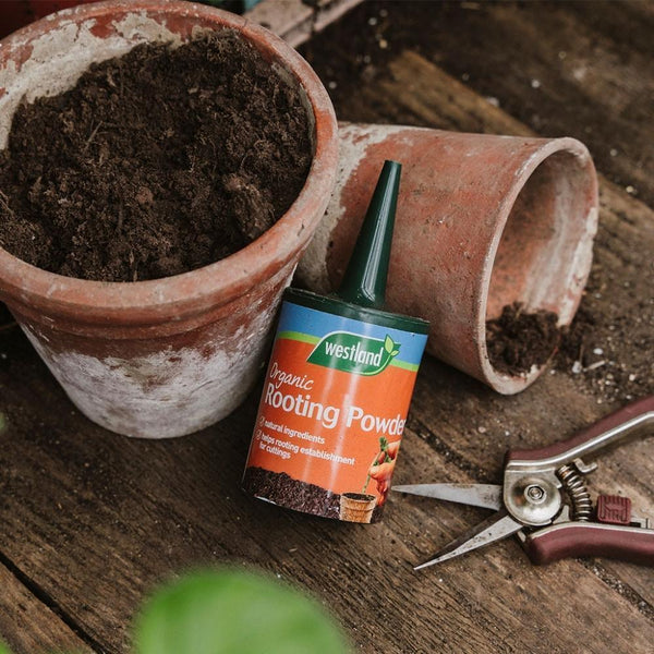Westland Organic Rooting Powder | 100g - Choice Stores
