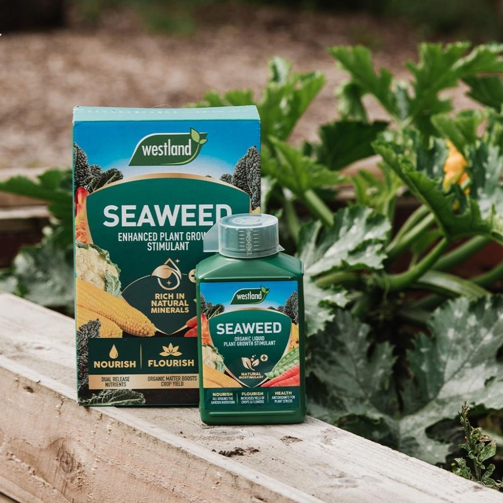 Westland Organic Seaweed Liquid Plant Food | 1L - Choice Stores