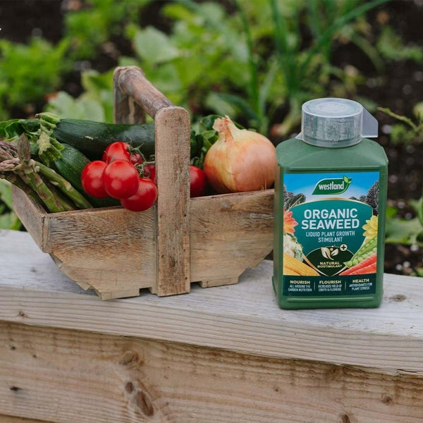 Westland Organic Seaweed Liquid Plant Food | 1L - Choice Stores