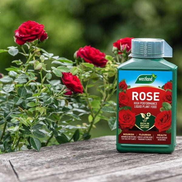 Westland Rose Specialist Liquid Feed | 1L - Choice Stores