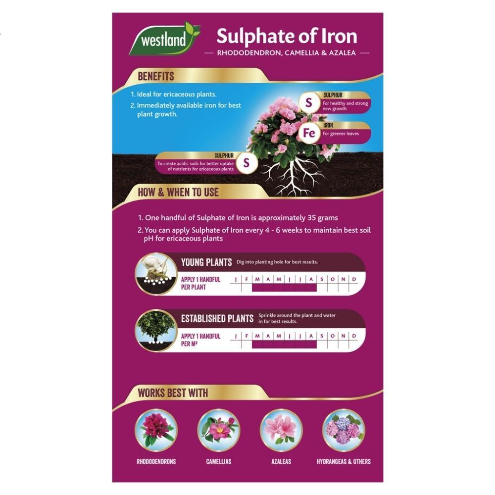 Westland Sulphate of Iron | Ericaceous Booster | 1.5kg - Choice Stores