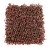 WonderWal Garden Trellis | Low Maintenance | Natural Looking - Choice Stores
