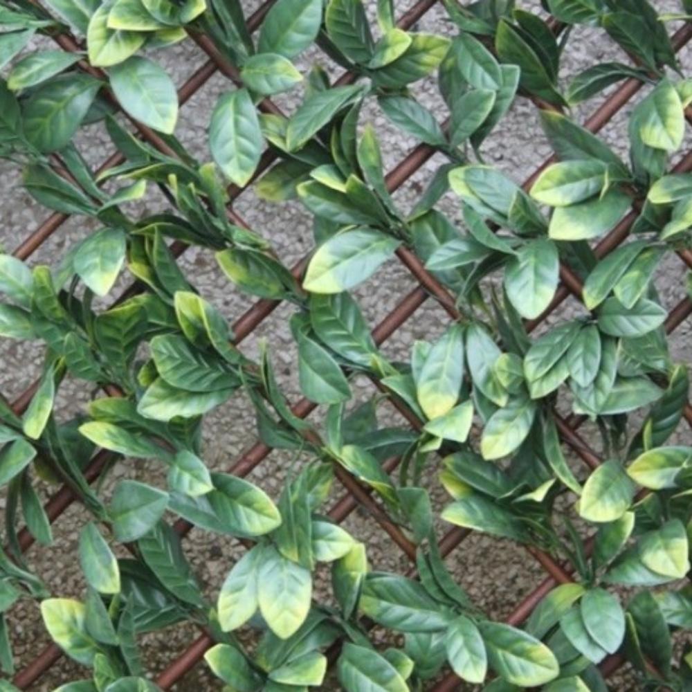 WonderWal Garden Trellis | Low Maintenance | Natural Looking - Choice Stores