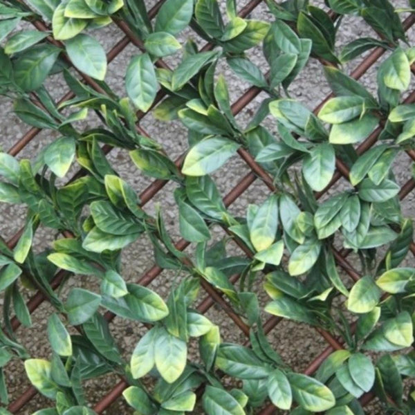 WonderWal Garden Trellis | Low Maintenance | Natural Looking - Choice Stores