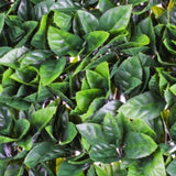 WonderWal Garden Trellis | Low Maintenance | Natural Looking - Choice Stores