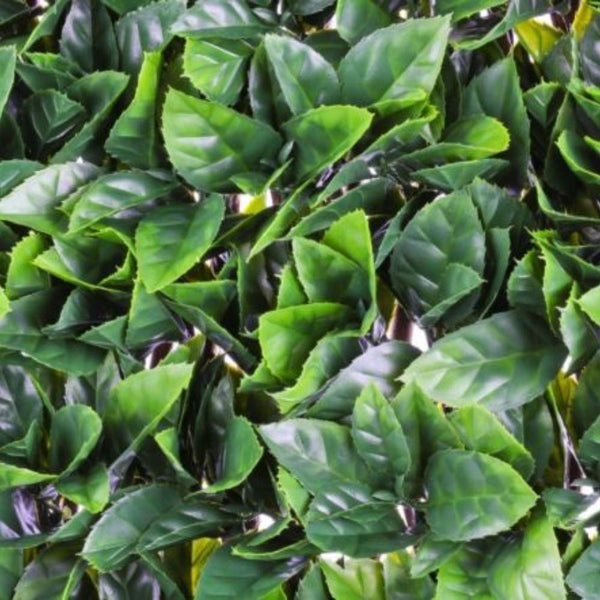 WonderWal Garden Trellis | Low Maintenance | Natural Looking - Choice Stores