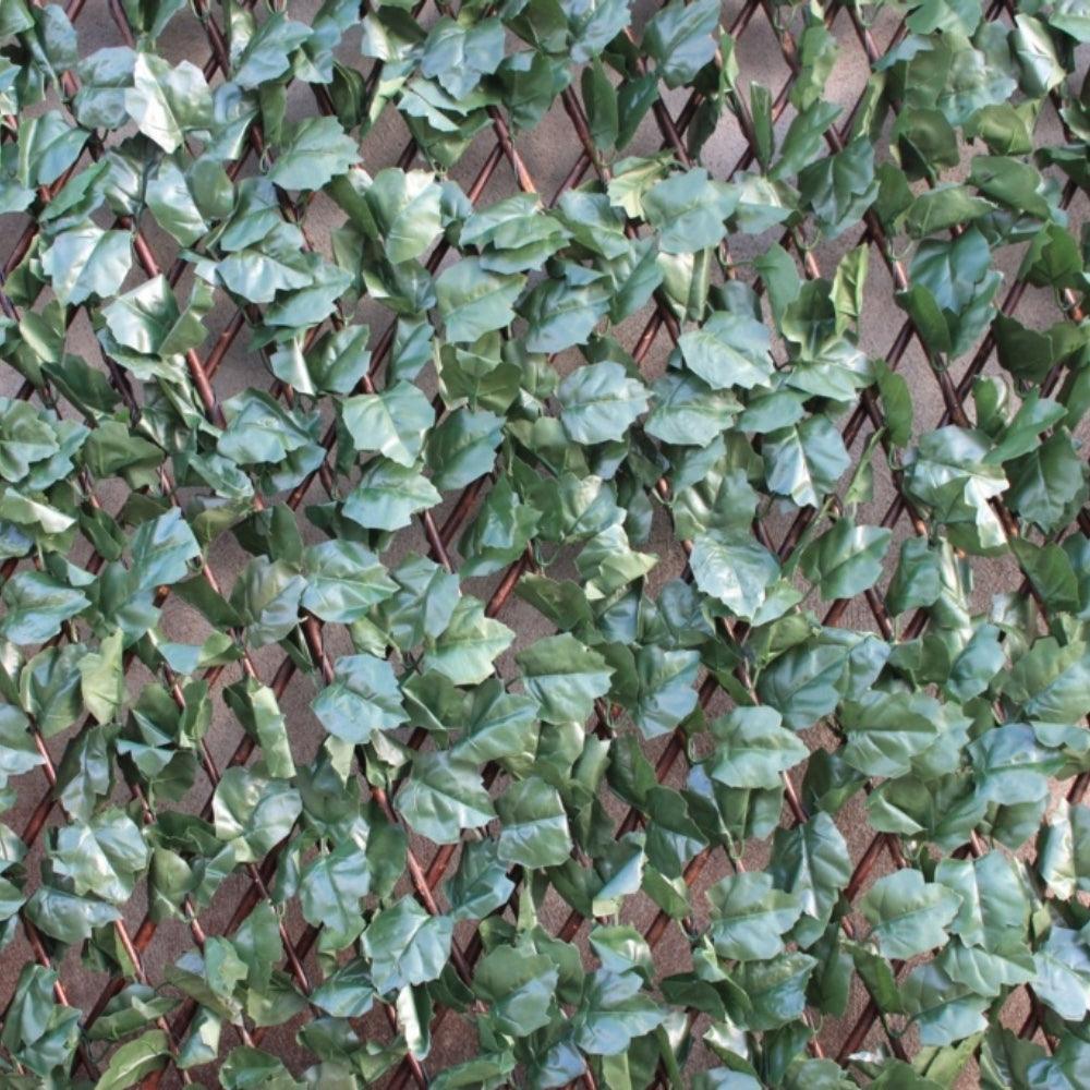 Wonderwal Ivy Trellis | 100cm x 200cm - Choice Stores