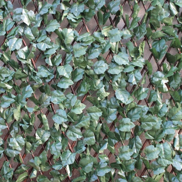 Wonderwal Ivy Trellis | 100cm x 200cm - Choice Stores