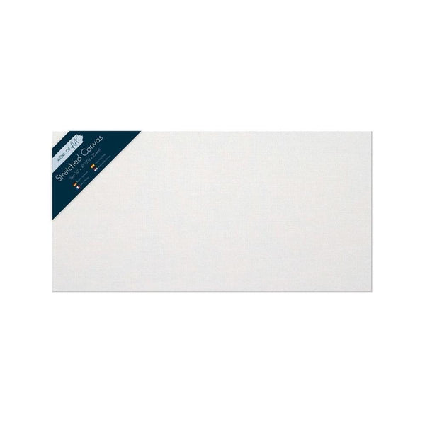 Work of Art Stretched Canvas | 20 x 10in - Choice Stores
