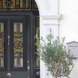 Sandtex Microseal Smooth Masonry Paint | Brilliant White - Choice Stores