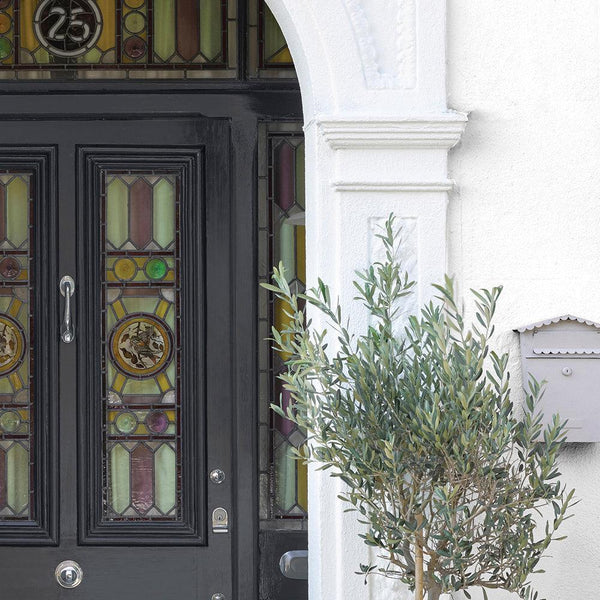 Sandtex Microseal Smooth Masonry Paint | Brilliant White - Choice Stores