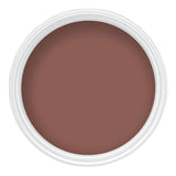 Sandtex Microseal Smooth Masonry Paint | Red Brick - Choice Stores